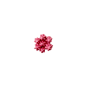 9161348_Bilddaten_komplett/9161348-17.png