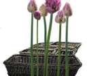 9033571_Bilddaten_komplett/9033571-10.png