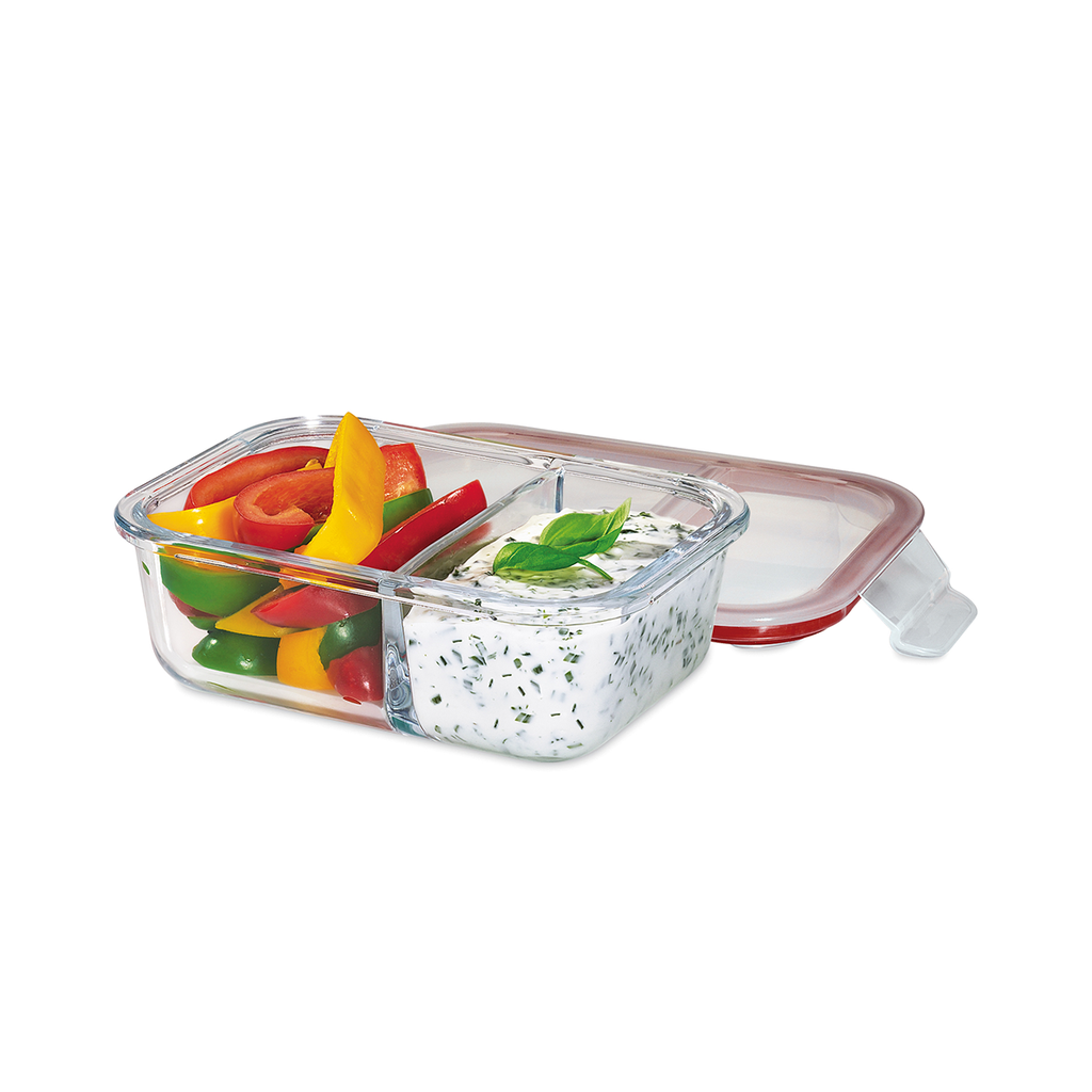 Lunchbox/Vorratsdose mittel 20,5 x 15,5 cm