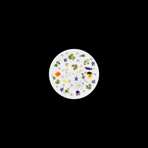 [9213032] Teller flach 21 cm, Fine Bone China Dekor