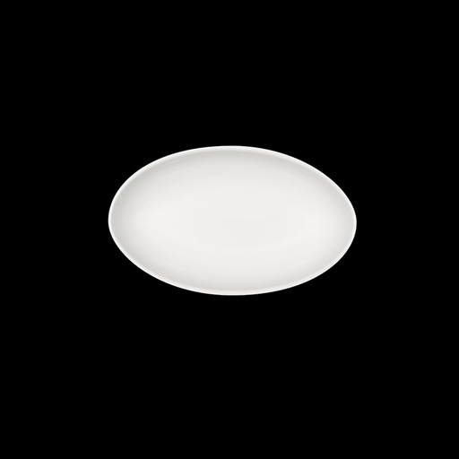 [9000709] Schale oval 28 x 14 cm, Function