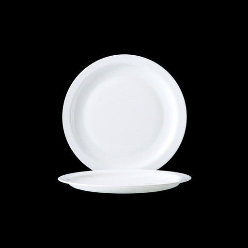 [9009544] Teller flach 23,5 cm, Hoteliere White