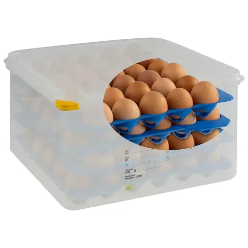 [9056649] GN-Eier-Box 2/3 